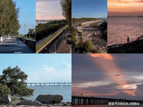 今日西湾公园爆料视频,现场实况视频曝光，精彩瞬间不容错过  第3张